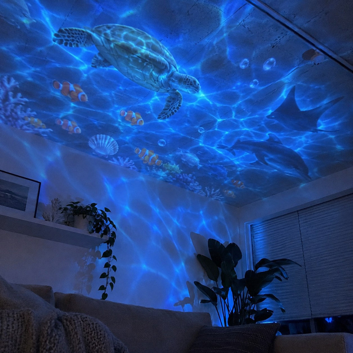 Wonder Tide ocean light